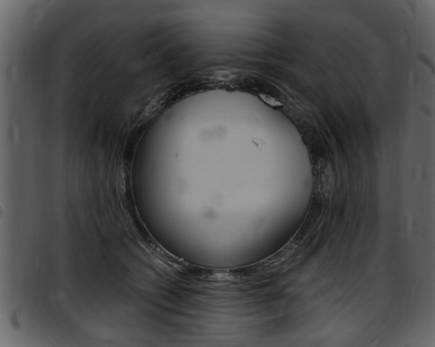X0000097640562200802290825