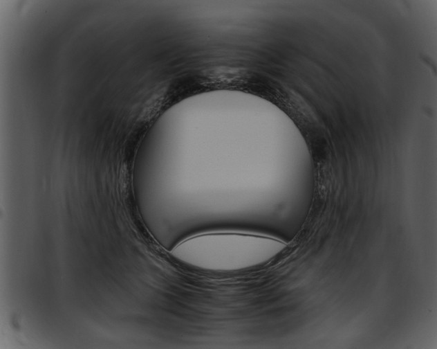 X0000097640563200802290825