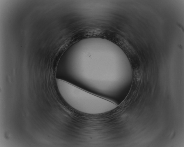 X0000097640564200802290825