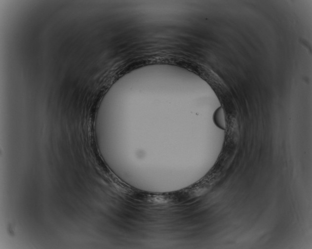 X0000097640565200802290825
