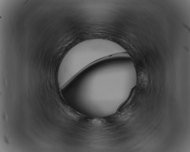 X0000097640566200802290825