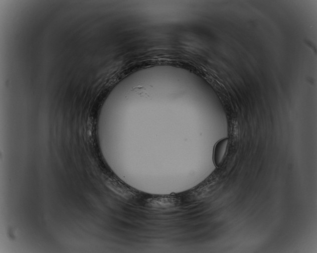 X0000097640567200802290825