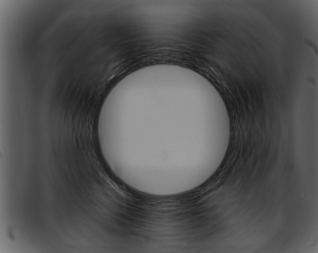 X0000097640568200802290825