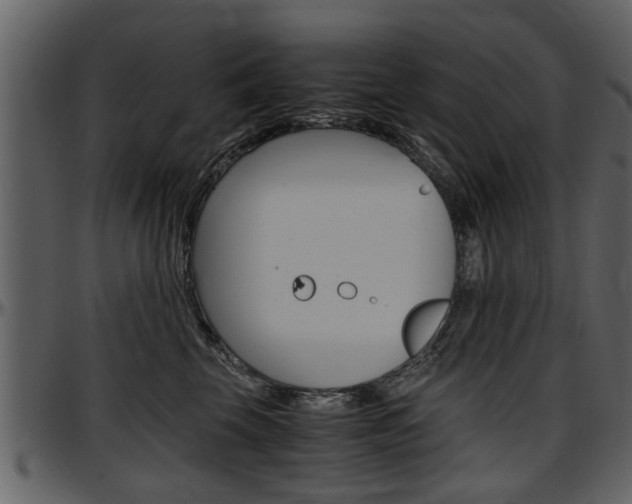 X0000097640569200802290825