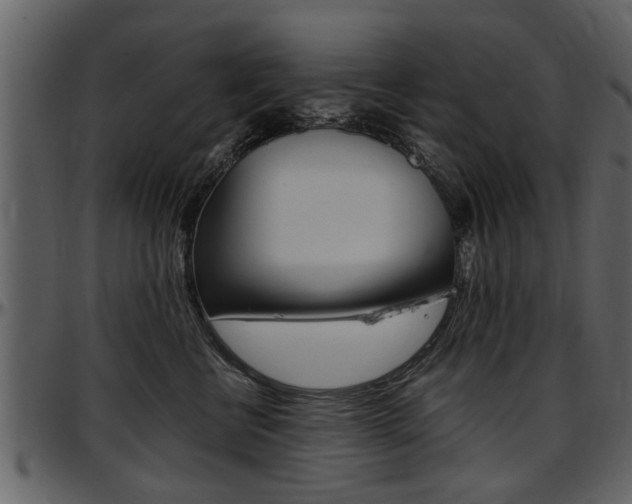 X0000097640570200802290825