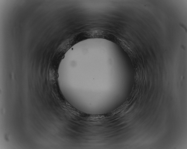 X0000097640571200802290825