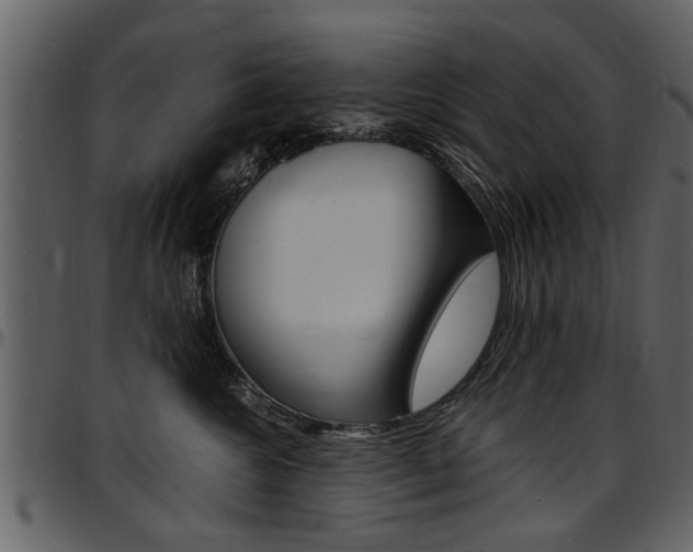 X0000097640572200802290825