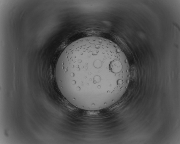 X0000097640573200802290825