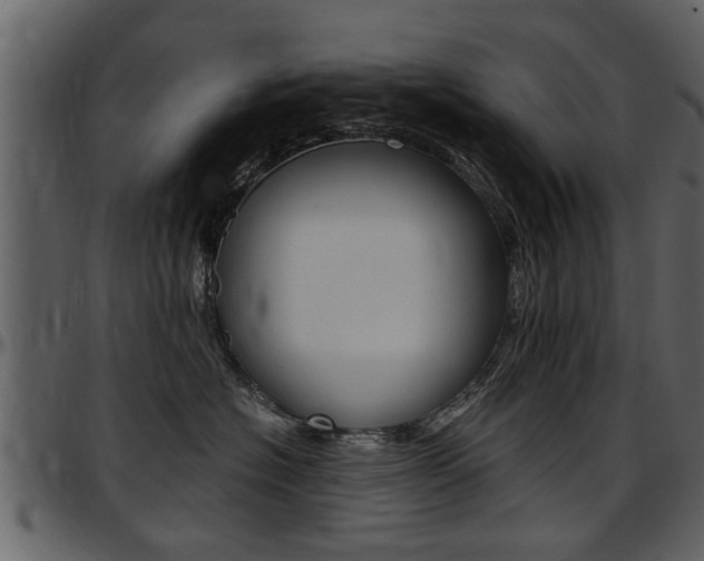 X0000097640574200802290825