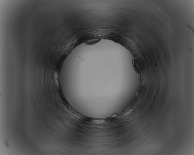 X0000097640575200802290825