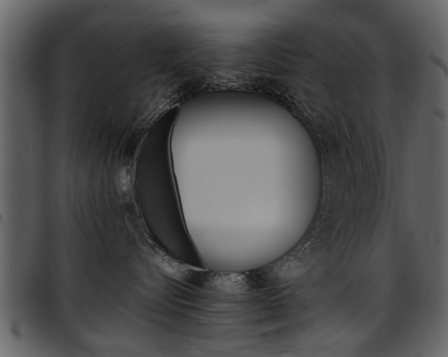 X0000097640576200802290825