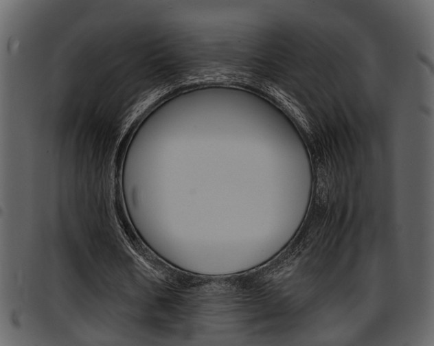 X0000097640578200802290824