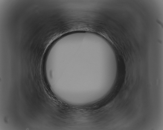 X0000097640579200802290824