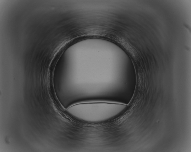 X0000097640580200802290824