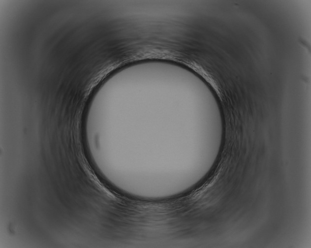 X0000097640581200802290824