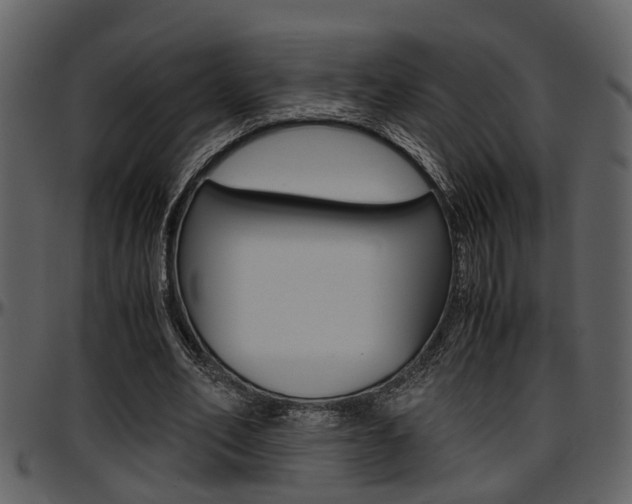X0000097640582200802290824