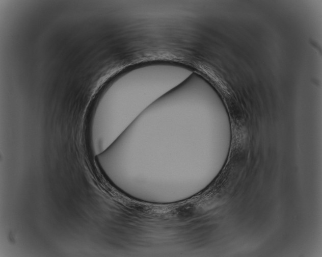 X0000097640583200802290824