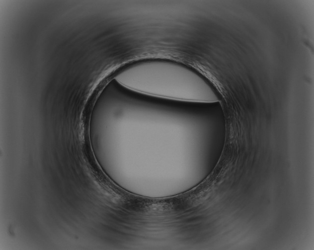 X0000097640584200802290824