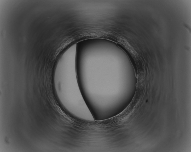 X0000097640585200802290824