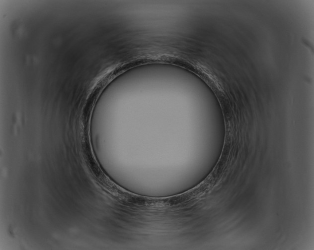 X0000097640587200802290824