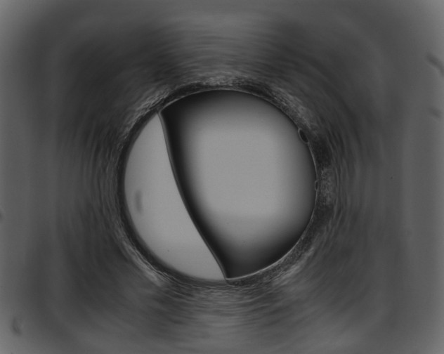 X0000097640589200802290824