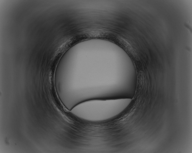 X0000097640590200802290824