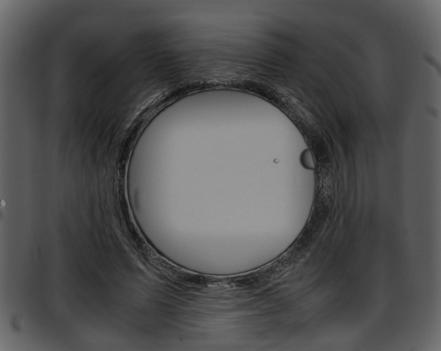 X0000097640591200802290824