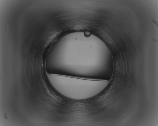 X0000097640592200802290824