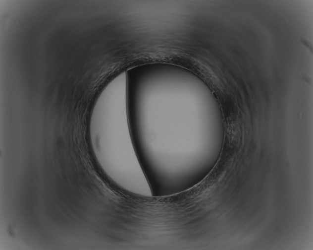 X0000097640593200802290824