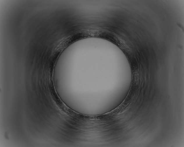 X0000097640594200802290824