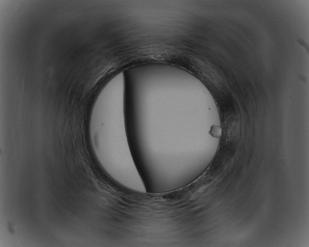 X0000097640595200802290824