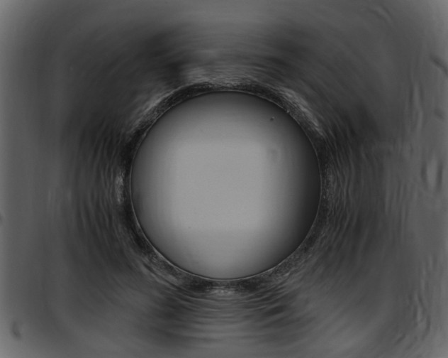 X0000097640596200802290824