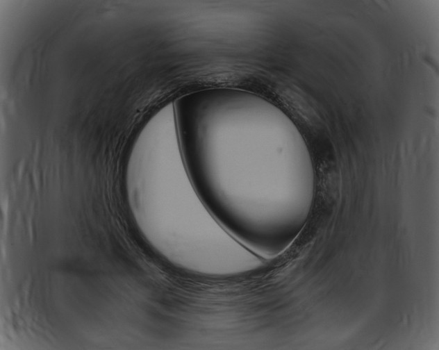X0000097640597200802290824