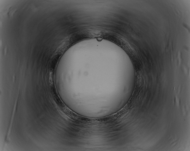 X0000097640598200802290824