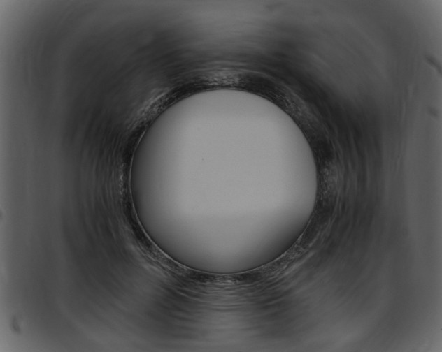 X0000097640600200802290824
