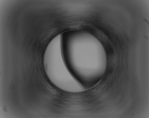 X0000097640601200802290824