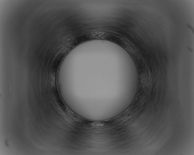 X0000097640602200802290824