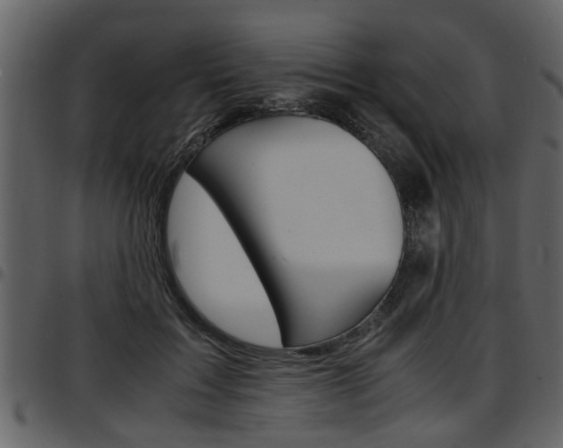 X0000097640603200802290824