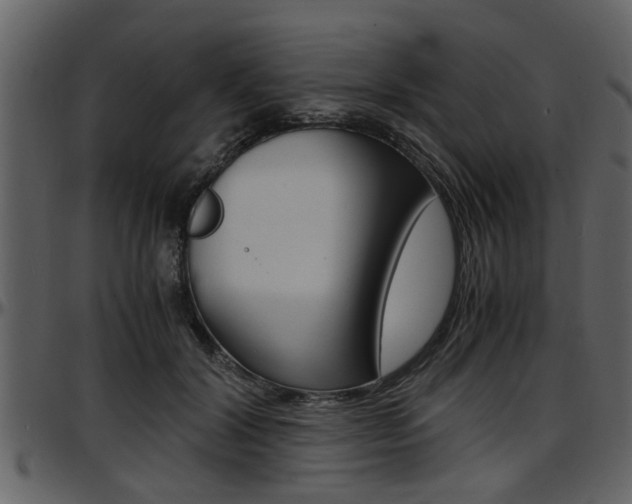 X0000097640604200802290824