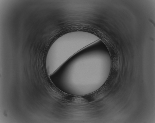 X0000097640605200802290824