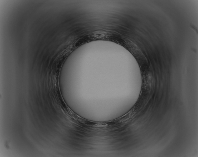 X0000097640606200802290824