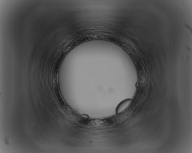 X0000097640607200802290824