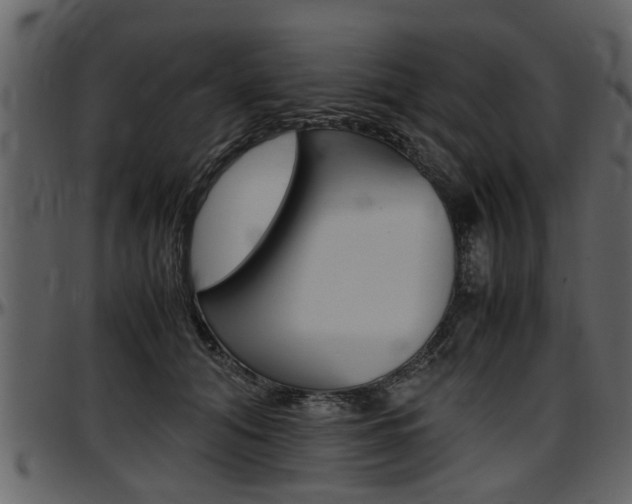 X0000097640608200802290824