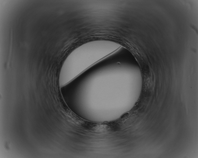 X0000097640609200802290824