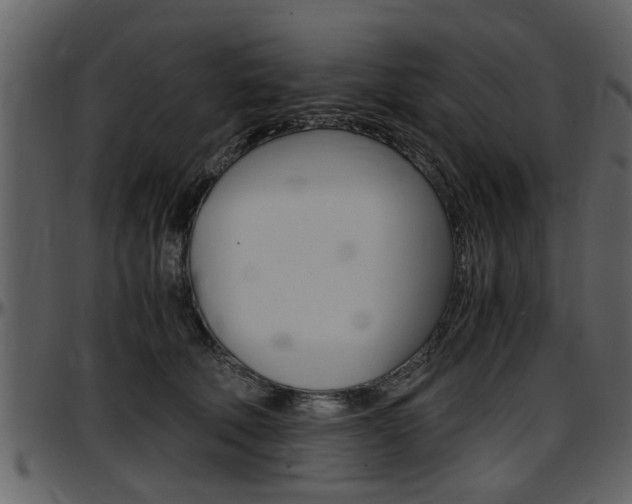 X0000097640610200802290824