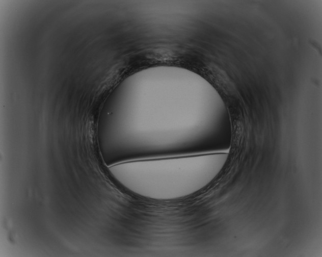 X0000097640612200802290824