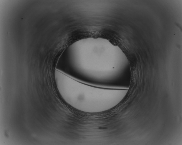 X0000097640613200802290824