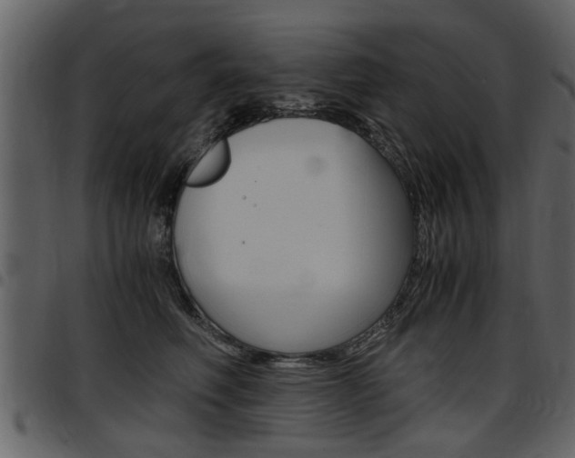 X0000097640614200802290824