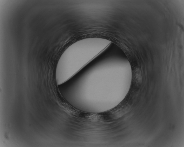 X0000097640615200802290824