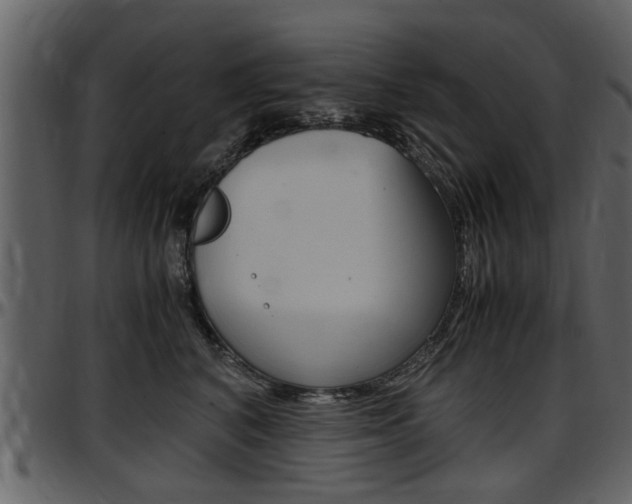 X0000097640616200802290824